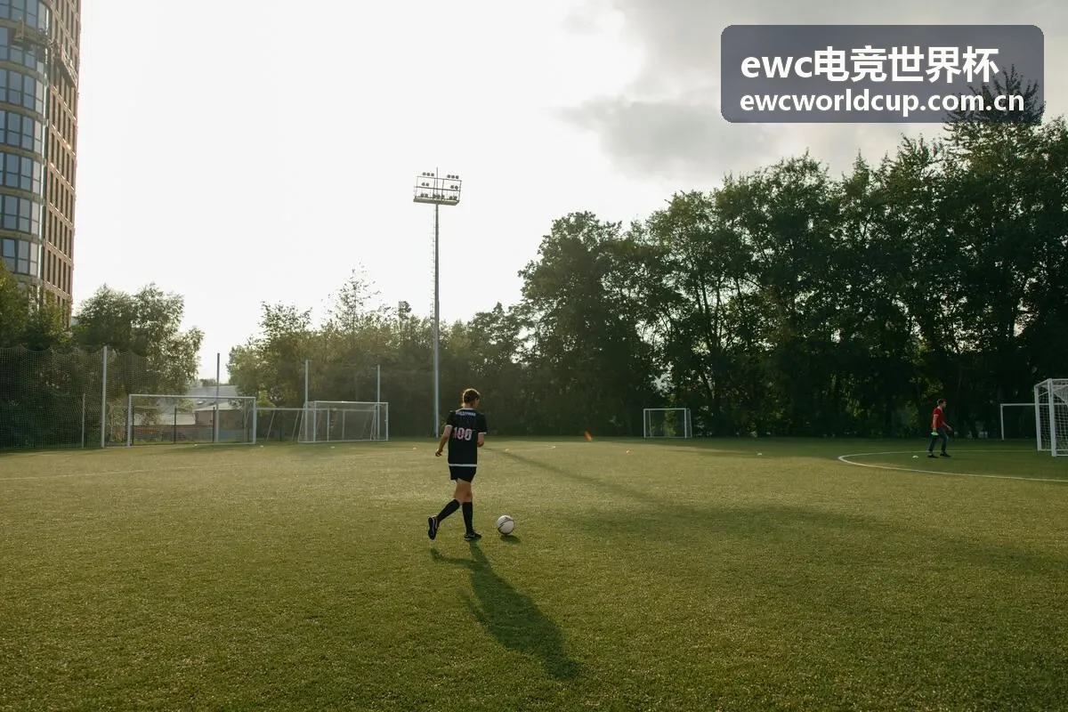 EWC电竞世界杯无畏契约项目封面
